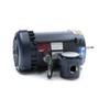 119434.00 Leeson |  2 hp 3600 RPM 56J Frame TEFC C-Face (No Base) Expl. Proof 208-230/460V
