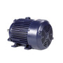 E503A Marathon 15 hp 1800 RPM 254T 230/460V TEFC Explosion Proof Marathon Electric Motor