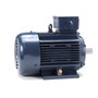 Marathon R324B 5.5 HP 4 KW 3600 RPM 112M Frame 230/460V Metric Motor