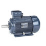 R333B Marathon 15 hp 11 kw 3600 RPM 160M Frame 230/460V Marathon Electric Metric Motor