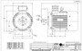 R333B Marathon 15 hp 11 kw 3600 RPM 160M Frame 230/460V Marathon Electric Metric Motor