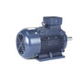 R336B Marathon 20 hp 15 kw 3600 RPM 160M Frame 230/460V Marathonn Electric Metric Motor