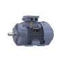 R339B Marathon 25 hp 18.5 kw 3600 RPM 160L Frame 230/460V Marathon Electric Metric Motor