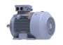 R345B Marathon 40 hp 30 kw 3600 RPM 200L Frame 230/460V Marathon Electric Metric Motor
