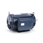 Z411 Marathon 7.5 hp 1800 RPM 215JM Frame 230V ODP Marathon Close Couple Motor
