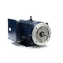 Z413 Marathon 10 hp 1730 RPM 215JM Frame 230V ODP Marathon Close Couple Motor