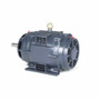 GT2459 Marathon 15 hp 1760 RPM 254JP Frame ODP 230/460V Marathon Close Couple Motor