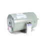 113939.00 Leeson |  1/2 hp 3450 RPM 56CZ Frame 230V Milk Transfer (Babson 27732) Pump Motor