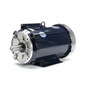 140705.00 Leeson |  10 hp 1740 RPM 215TC 230V Cat Fish Pond Motor