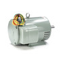 131847.00 Leeson |  5-7 hp 3450 RPM 182TZ 230V Crop Dryer Motor