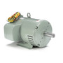 131848.00 Leeson |  7.5-10 hp 3450 RPM 182TZ 230V Crop Dryer Motor