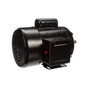 C311V1 Century 1/2 hp 1800 RPM 56 Frame (Farm Duty) 115/230V Electric Motor