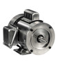 191475.00 Leeson |  1/2 hp 1800 RPM 56C 115/230V Stainless Steel w/Base