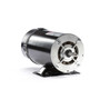 BN35V1 Century 1.5 hp 3450 RPM 48Y Frame 115/230V Above Ground Swimming Pool & Spa Motor