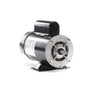 BN50V1 Century 1.5 hp 3450/1725 RPM 48Y Frame 115V 2-Speed Pool & Spa Electric Motor Century # BN50V1