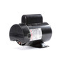 BN50V1 Century 1.5 hp 3450/1725 RPM 48Y Frame 115V 2-Speed Pool & Spa Electric Motor Century # BN50V1