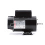 BN50V1 Century 1.5 hp 3450/1725 RPM 48Y Frame 115V 2-Speed Pool & Spa Electric Motor Century # BN50V1