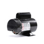 BN34V1 Century 1.5 hp 3450/1725 RPM 48Y Frame 230V 2-Speed Pool & Spa Electric Motor Century # BN34V1
