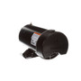 BN40SS Century 2 hp 3450 RPM 48Y Frame 115/230V Pool / Spa Electric Motor Century # BN40SS