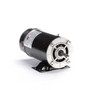 BN51 Century 2 hp 3450/1725 RPM 48Y Frame 230V 2-Speed Pool & Spa Electric Motor Century # BN51