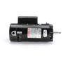UST1252 Century 2-1/2 hp 3450 RPM 56J 115/230V Swimming Pool Pump Motor - Century # UST1252