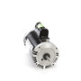 B809 Century 2 hp 3450 RPM 56J Frame 115/230V Switchless Swimming Pool Pump Motor Century # B809