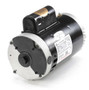 B966 Century 3 hp 2-Speed 56J Frame 230V; 2 Speed Swimming Pool Motor Century # B966