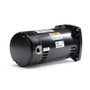 USQ1072 Century 3/4 hp 3450 RPM 48Y Frame Square Flange 115/230V Pool Motor