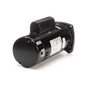 USQ1202 Century 2 hp 3450 RPM 48Y Frame Square Flange 230V Pool Motor