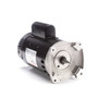B2840V1 Century 2.5 hp 3450 RPM 56Y Frame 230V Square Flange Pool Motor