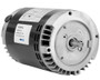H1041L 1/2 hp 1725 RPM 230/460V Circulator Pump Motor 831011-083, 111046