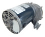 1LPP4, 5K939 Dayton Direct Interchange 1/4 hp 30 RPM 115V Bison AC Parallel Shaft Gear Motor Model 014Q307-0057