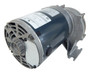 1LPP3 Dayton Direct Interchange 1/4 hp 40 RPM 115V Bison AC Parallel Shaft Gear Motor Model 014Q307-0043