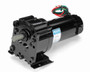 M1125220.00 Leeson |   Parallel Shaft 1/8 hp, 61 RPM 12VDC Electric Gear Motor