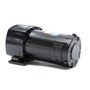 108703.00 Leeson |   Parallel Shaft 1/4 hp, 42 RPM 90 Volts DC TENV Electric Gear Motor