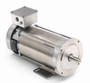 109072.00 Leeson |  3/4 hp 1750 RPM 56C With Base 90 VDC TEFC  Stainless Steel