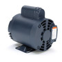 110395.00 Leeson |  1/2 hp 1425 RPM 56 Frame ODP Rigid Base 110/220V 50 hz.