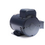 131554.00 Leeson |  3 hp 1440 RPM 184T Frame ODP Rigid Base 220V 50 hz.