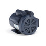 113929.00 Leeson |  1.5 hp 1425 RPM 56H Frame TEFC Rigid Base 110/220V 50hz.