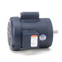 113921.00 Leeson |  1/3 hp 1425 RPM 56C Frame TEFC No Base 110/220V 50hz.