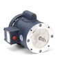 113921.00 Leeson |  1/3 hp 1425 RPM 56C Frame TEFC No Base 110/220V 50hz.