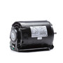 Model 927AL Century 1/4 hp 1725 RPM 2-SPD 48 Frame 230V Belt Drive Blower Motor Ball Brg Century # 927AL