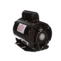 RS1074AL Century 3/4 hp 1725 RPM 56 Frame 115/230V 50/60 hz Belt Drive Cap Start Blower Motor Century # RS1074AL