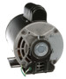 C426V2 Century 3/4 hp 1725 RPM 56 Frame 115/208-230V Belt Drive Cap Start Blower Motor