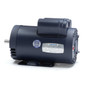 116709.00 Leeson |  5 hp 3600 RPM 56HC Frame ODP C-Face (rigid base) 230V