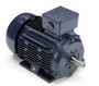 R352B Marathon 4 hp 3 kw 1800 RPMÂ 100L Frame 230/460V Marathon Electric Metric Motor