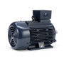 R352B Marathon 4 hp 3 kw 1800 RPMÂ 100L Frame 230/460V Marathon Electric Metric Motor