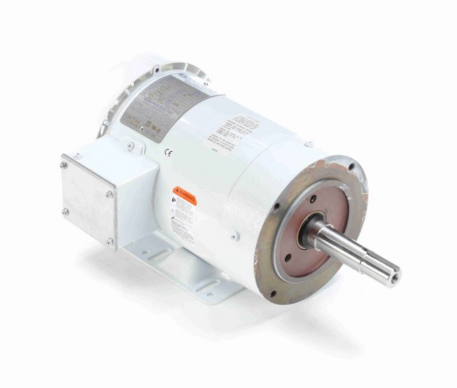 Washdown Pump Motors