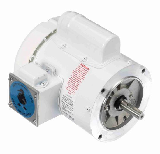 Washdown Motors