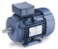 Leeson Metric Electric Motors